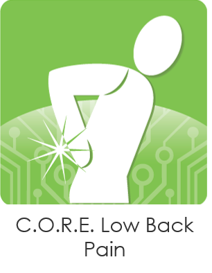 Low Back Pain tool
